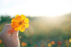  做你自己，不要刻意去取悅別人